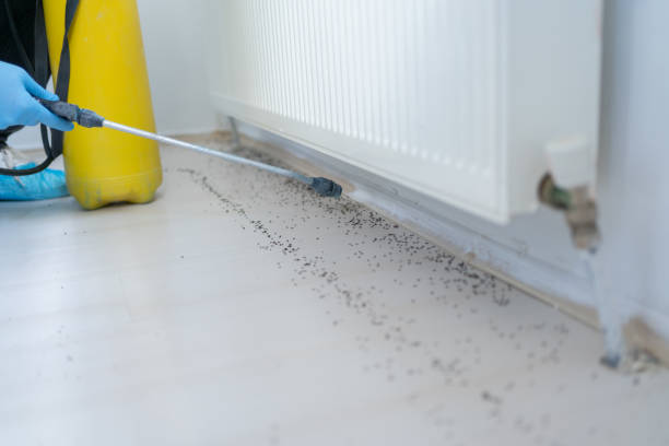 Best Residential Pest Control  in Crystal Falls, MI